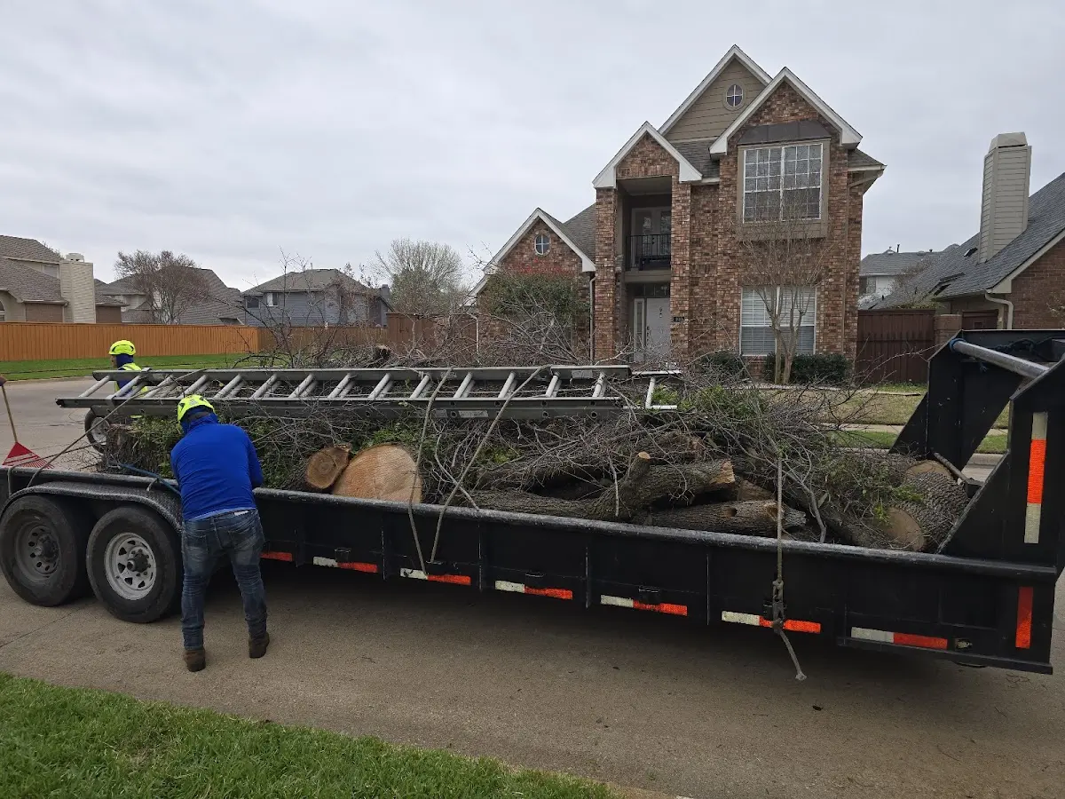 Expert Lot Clearing with proper safety equipment in Marks